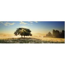 Puzzle Play of Light 1000 pz