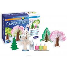 Chimica della Cristallizzazione dai 8 anni