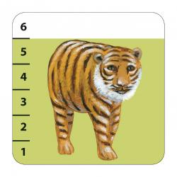 Batanimo 3-6 anni